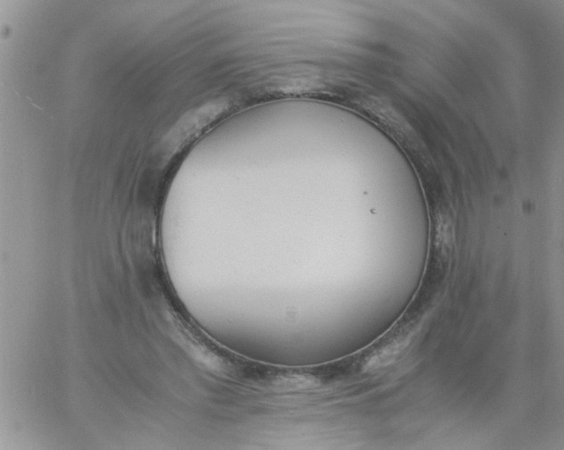 X0000060800397200511241915