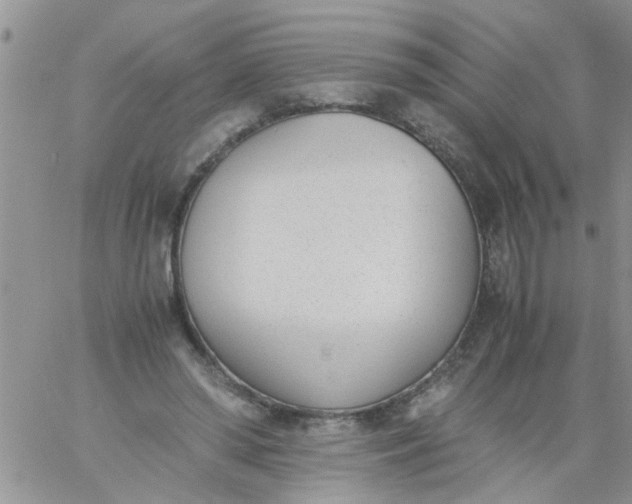 X0000060800398200511241915