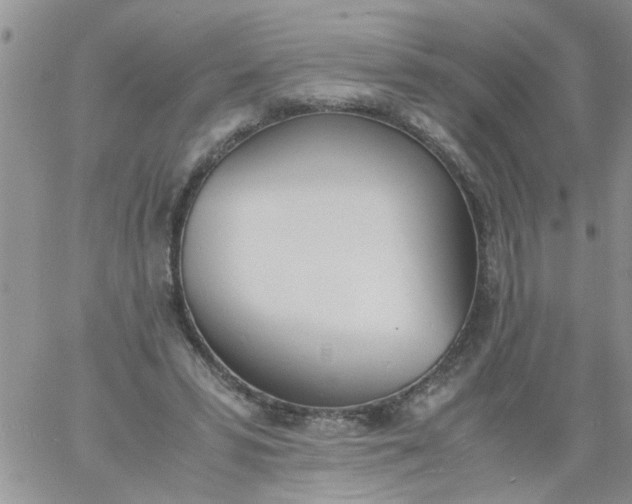 X0000060800399200511241915