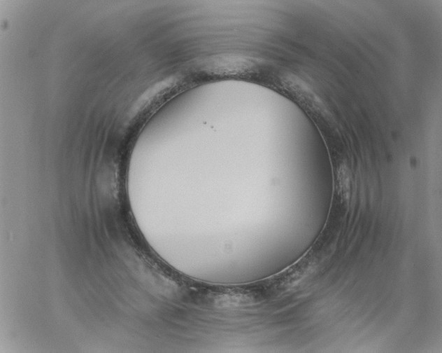 X0000060800400200511241915