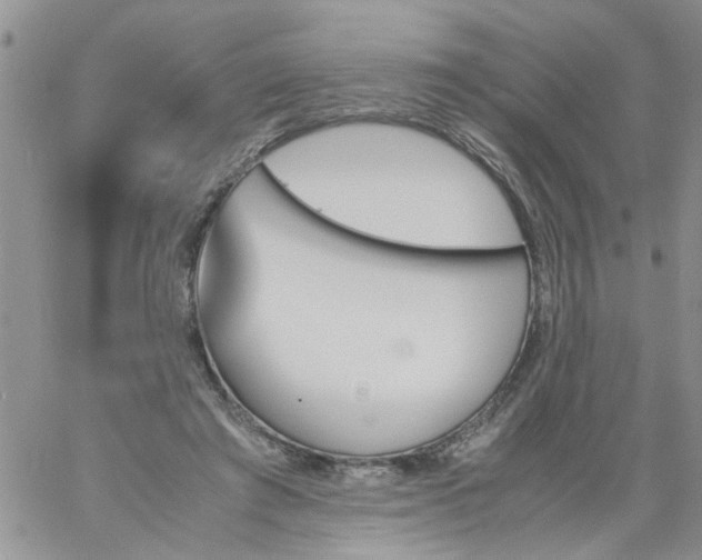 X0000060800401200511241915