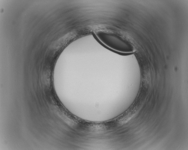 X0000060800402200511241915