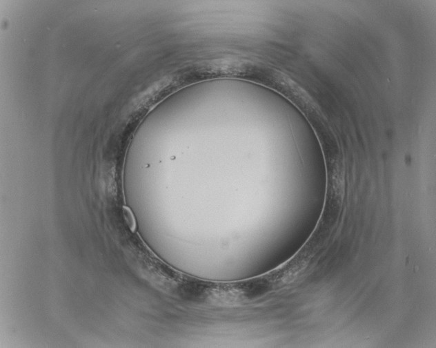 X0000060800403200511241915