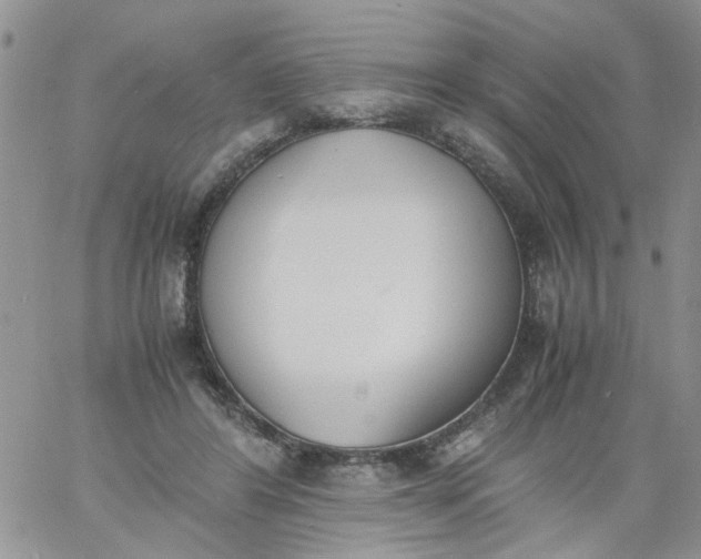 X0000060800404200511241915