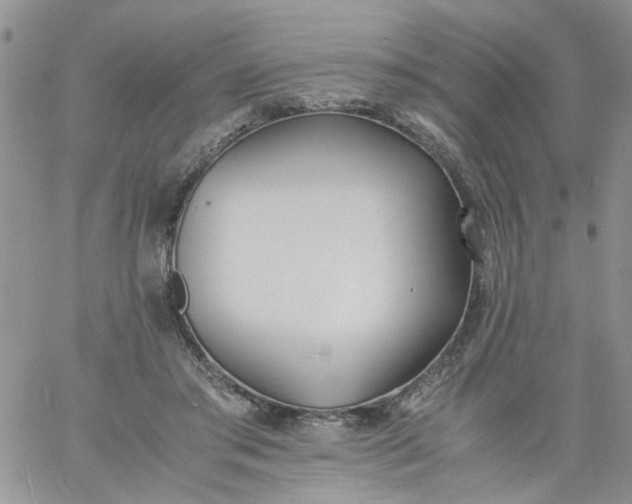 X0000060800405200511241915