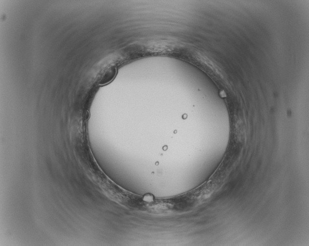 X0000060800407200511241915