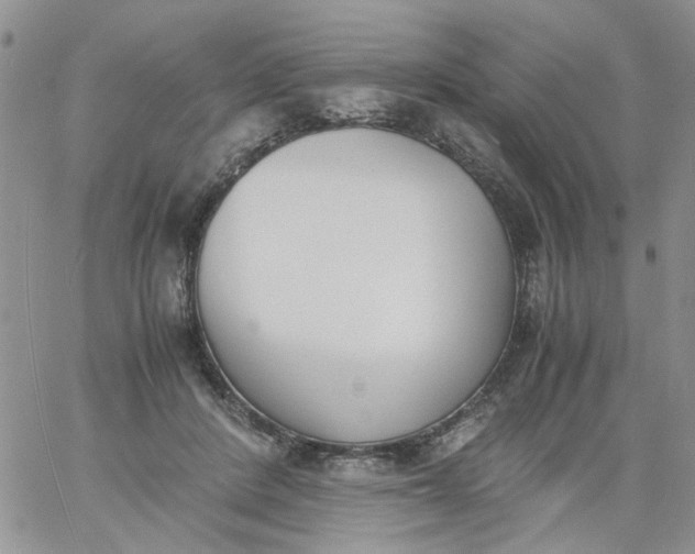 X0000060800408200511241915