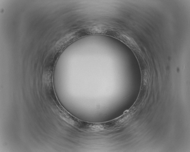 X0000060800409200511241915