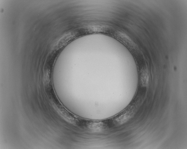 X0000060800410200511241915