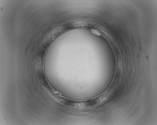 X0000060800411200511241915