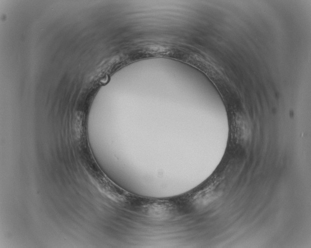 X0000060800412200511241915