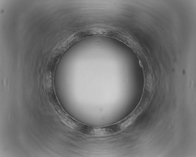 X0000060800413200511241915