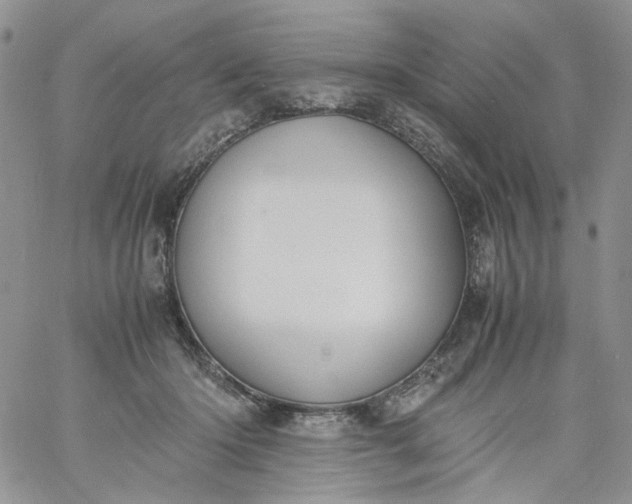 X0000060800414200511241915