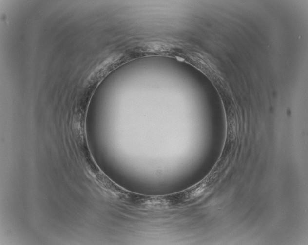 X0000060800415200511241915