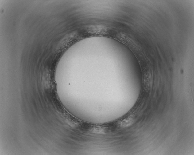 X0000060800416200511241915