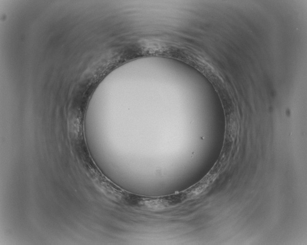 X0000060800417200511241915