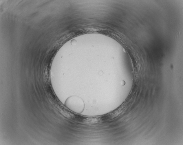 X0000060800418200511241915