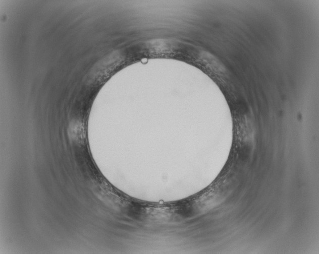 X0000060800419200511241915