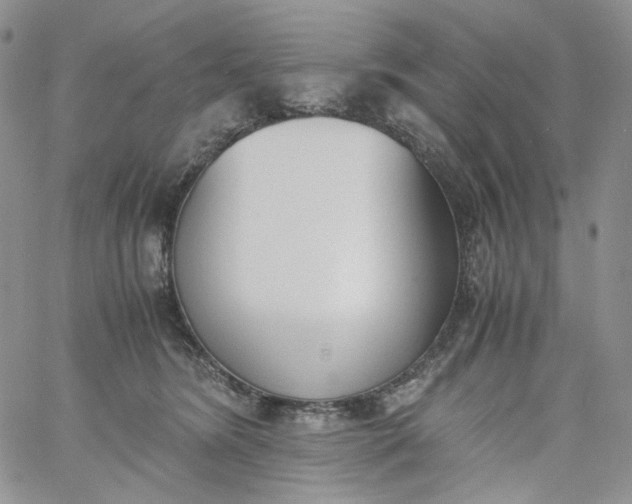 X0000060800420200511241915