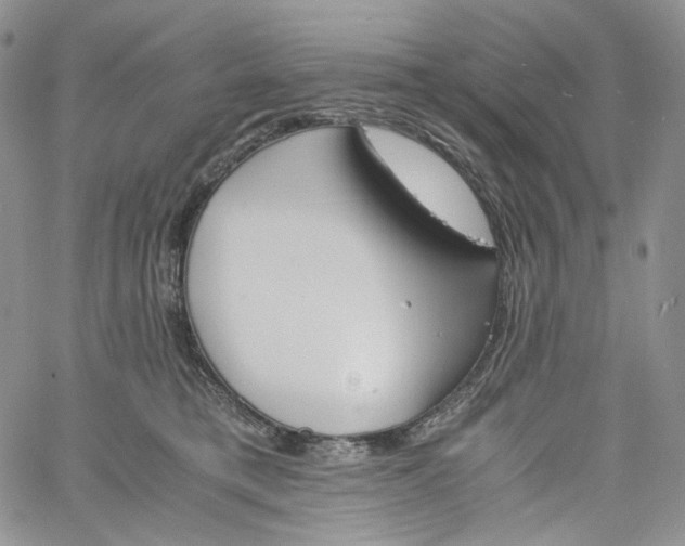 X0000060800421200511241915