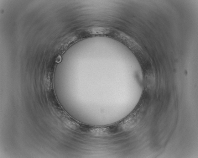 X0000060800422200511241915