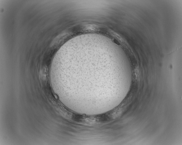 X0000060800423200511241915