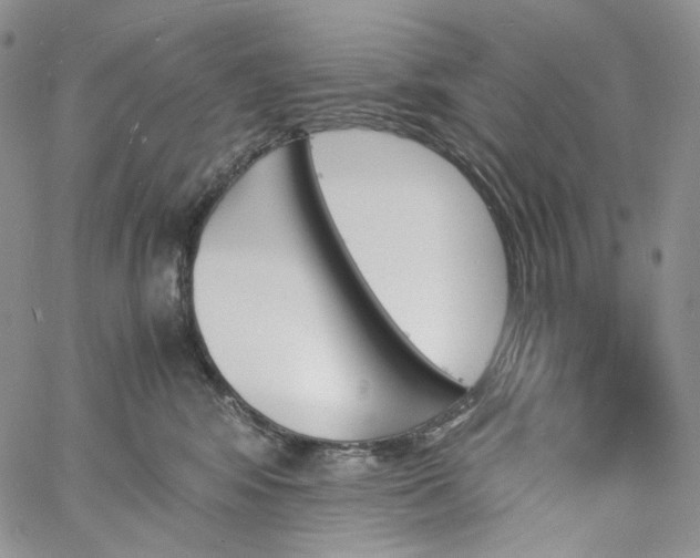 X0000060800424200511241915