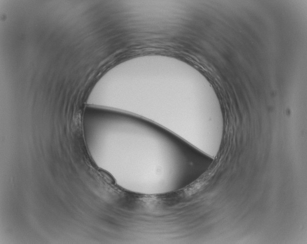 X0000060800425200511241915