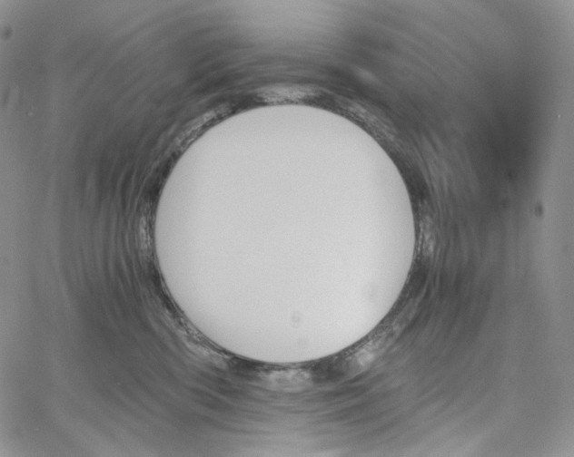 X0000060800426200511241915