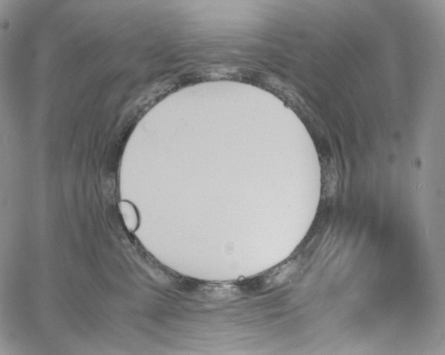 X0000060800427200511241915