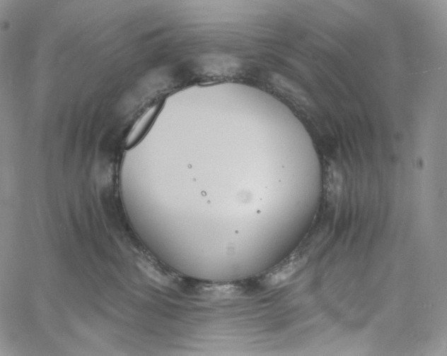 X0000060800428200511241915