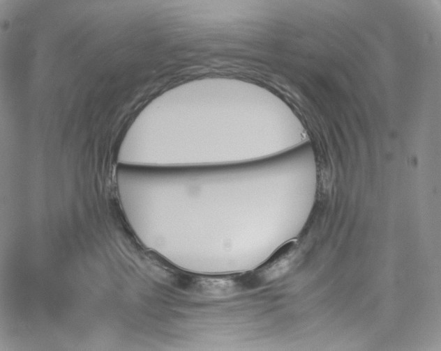 X0000060800429200511241915