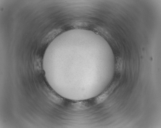 X0000060800430200511241915