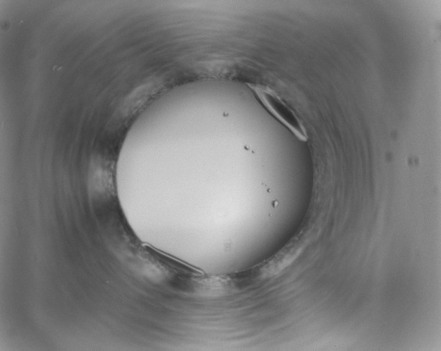 X0000060800432200511241915