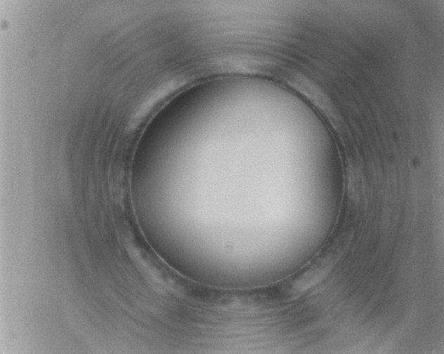 X0000060800434200511241914