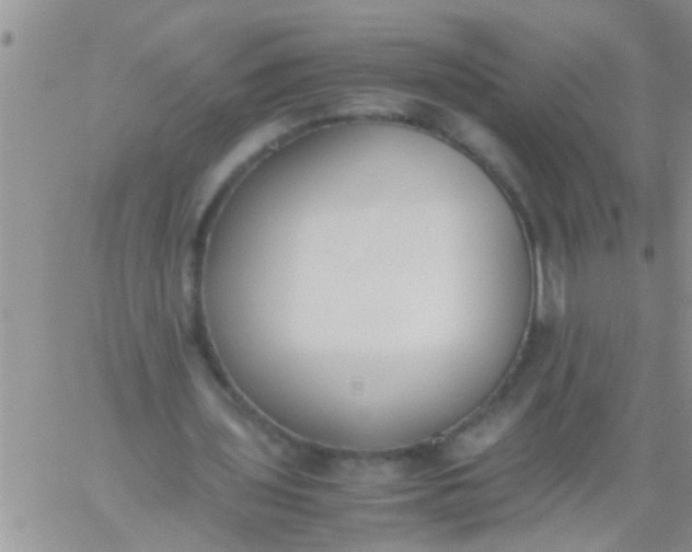 X0000060800435200511241914