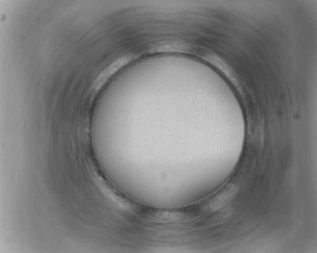 X0000060800437200511241914