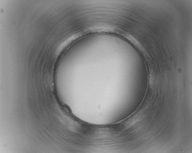 X0000060800438200511241914