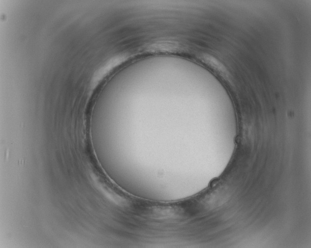 X0000060800439200511241914