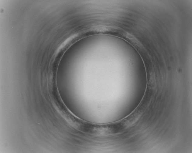 X0000060800440200511241914