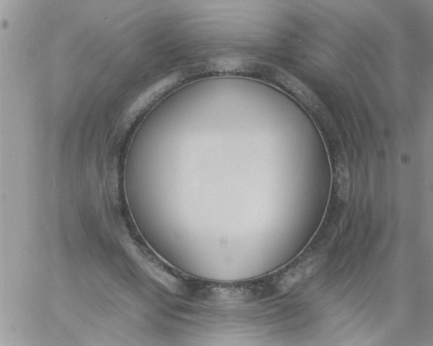 X0000060800442200511241914