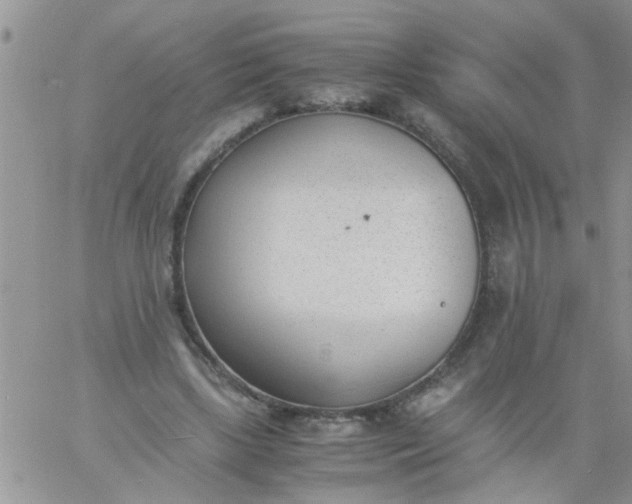 X0000060800443200511241914