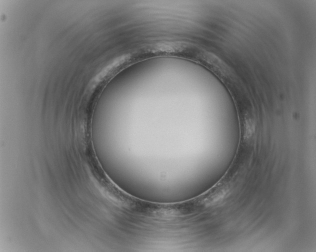 X0000060800444200511241914