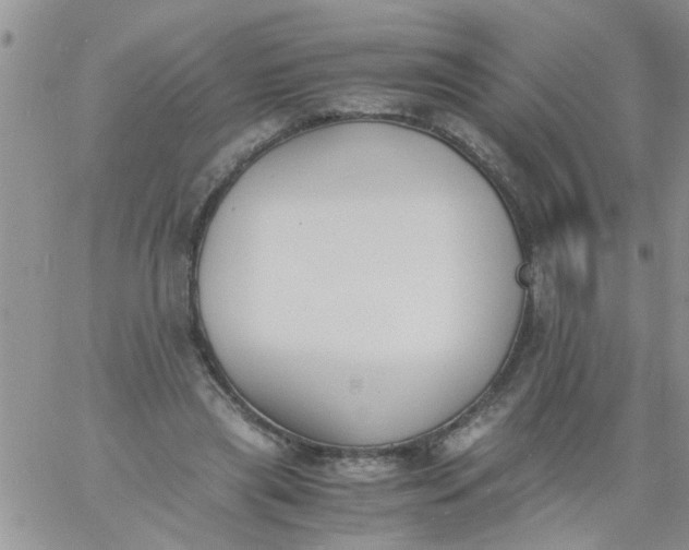 X0000060800445200511241914