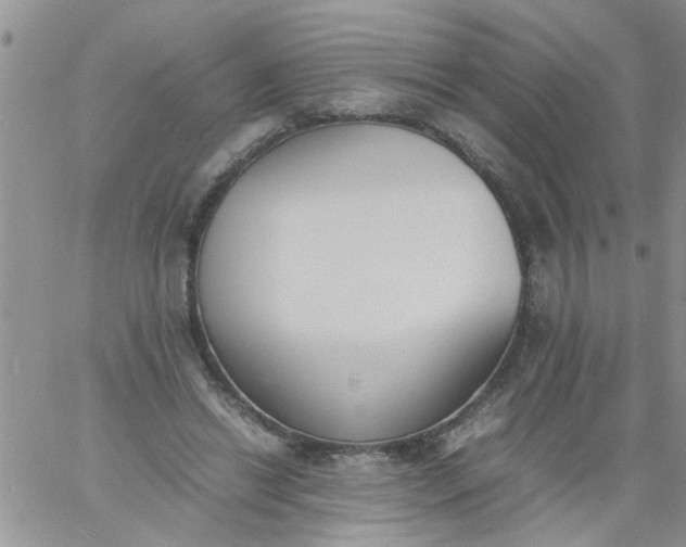 X0000060800446200511241914