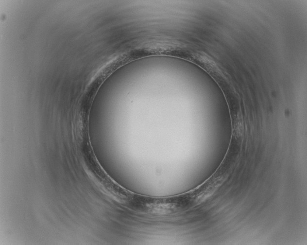 X0000060800448200511241914