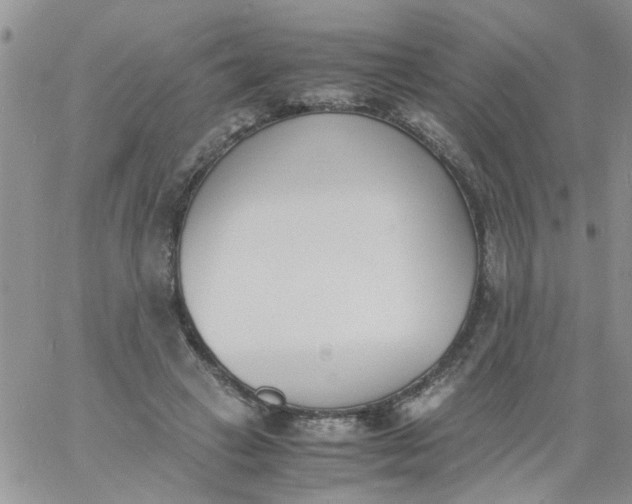 X0000060800449200511241914