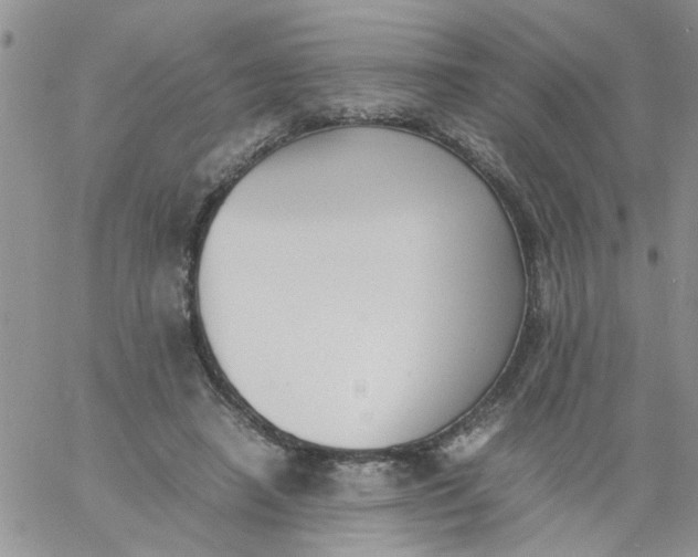 X0000060800450200511241914