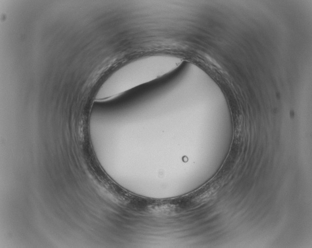 X0000060800452200511241914