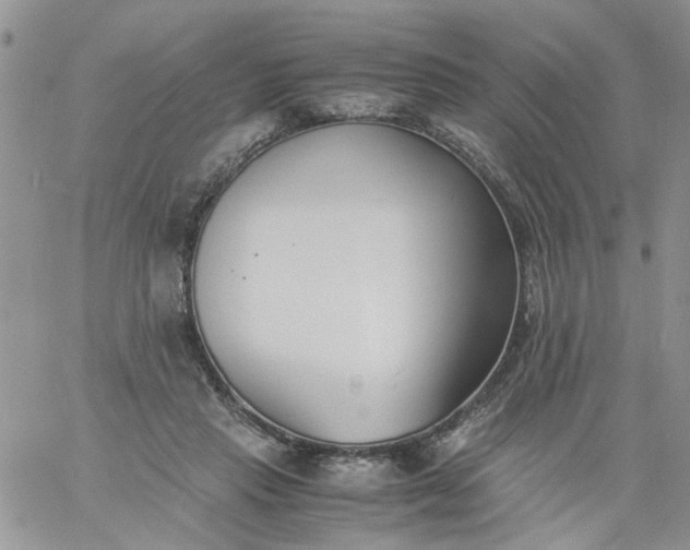 X0000060800453200511241914